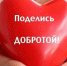 Начался отбор лучших работ IV областного конкурса чтецов «Пусть миром правит доброта» - Комитет по культуре и искусству