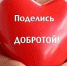 Начался отбор лучших работ IV областного конкурса чтецов «Пусть миром правит доброта» - ГТРК Мурман