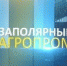 "Очаг лопарочки", "Сердце Арктики", "Шоколадные стаканчики" с черничным муссом. Смотрите на канале "Россия 24" программу "Заполярный агропром" - ГТРК Мурман