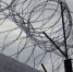 Военнослужащий из Печенги убил и ограбил свою знакомую - ИА B-Port.Com
