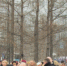 Около тысячи мурманчан вышли на митинг в честь присоединения Крыма - SeverPost.ru