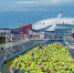На трассе Формулы 1 в Сочи пройдет массовый забег - ИА B-Port.Com