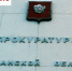В Прокуратуре рассказали, как подростки упали с моста - SeverPost.ru