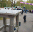 «Гандвиг»: Возрождая морские традиции - SeverPost.ru