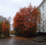 Мурманский лицей вошёл в Топ-500 - SeverPost.ru