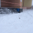 Появилось видео обрушения снега на женщину с ребёнком в Видяево - ИА B-Port.Com