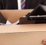 Руководитель организации-должника, не возместивший убытки кредиторам, может быть дисквалифицирован - УФНС