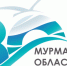 Кольский район продолжает проект «Дни муниципальных библиотек региона в областной научной библиотеке» - Правительство Мурманской области