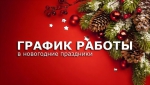 Режим работы ветлечебниц Мурманска в новогодние праздники