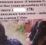 Угонщики не смогли выкинуть таксу Степку из машины - SeverPost.ru