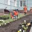Школьники с охотой идут работать над озеленением города. - КП Мурманск