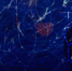 В Мурманске появится Планетарий - ИА Nord-News.Ru