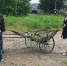 Районные чиновники встречали заморских гостей при параде. Местные жители особо не стремились пообщаться с бурами. Фото: Мария БЕРК - КП Мурманск