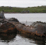 Эксперты: К-159 отравит Баренцево море - SeverPost.ru