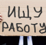 Почти четверть безработных никогда не работали - SeverPost.ru
