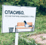 За жителями Оленегорска следит голубь - Мурманский вестник