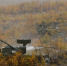 Учения сухопутных сил СФ завершены - SeverPost.ru