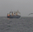 На дне Баренцева моря нашли нефть и сейсмические аномалии - Телекомпания ТВ-21