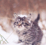 фото из открытых источников - Hibiny.Com