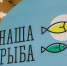 Проект Мурманской области «Наша рыба» одержал победу в Москве - Hibiny.Com
