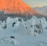 Фестиваль «Снеголед» в Кировске начнется 20 января - ИА Nord-News.Ru