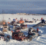 «Экспедиция-трофи» стартует из Мурманска 23 февраля - ИА Nord-News.Ru