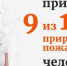 МЧС и Гринпис - вместе справимся с лесными пожарами! - ГУ МЧС Мурманской области