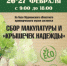 В Мурманске состоится сбор макулатуры и пластика - Hibiny.Com