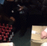 В Полярном пресекли продажу «палёнки» [видео] - SeverPost.ru