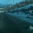 Зайцы на дорогах Кировска нервируют водителей [видео] - SeverPost.ru
