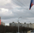 Мурманчане сообщили о разбросанной догхантерами отраве на Беринга - ИА Nord-News.Ru