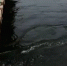 В Шонгуе вода подбирается к верхушкам опор моста - Телекомпания ТВ-21