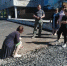 В Умбе партийцы оценили ход работ по благоустройству общественной территории - Мурманский вестник