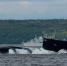 Парад в честь Дня ВМФ России покажут в прямом эфире - ИА B-Port.Com