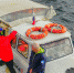 Мурманские моржи плывут в Севастополь - SeverPost.ru
