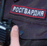 На прошедшей неделе в областную Росгвардию добровольно сдано 6 единиц гражданского оружия - Росгвардия