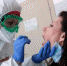 фото coronavirus-live.ru - Hibiny.Com