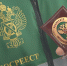 Земнадзор сократит количество проверок в в Мурманской области в 2021 году - Мурманский вестник
