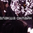 «Мартышка» из Кандалакши попала на видео - SeverPost.ru