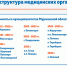 На модернизацию первичного звена здравоохранения  Мурманской области предусмотрено более 4 млрд. рублей - Hibiny.Com