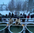 В Мурманской области освятили воду, вечером пройдут обряды у купелей - Мурманский вестник