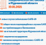 В Мурманской области выявлено 244 зараженных коронавирусом - Hibiny.Com