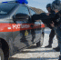 В Североморске пьяный водитель скрылся с места аварии - Вечерний Мурманск