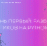 Дни науки факультета МиЕН. День первый: разбор котиков на Python`е - МАГУ