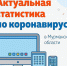 В Мурманской области за сутки выявлено 67 случаев заболевания CoViD-19 - Hibiny.Com