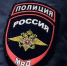 Убийство собаки в Мурманске начали расследовать - SeverPost.ru