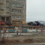 Снежногорские дети издевались над котенком - Вечерний Мурманск