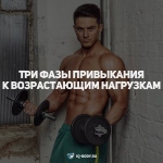 Три фазы привыкания к возрастающим нагрузкам