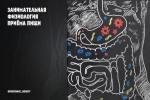 Занимательная физиология приёма пищи