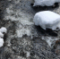 На реке Кола планируются регулярные промеры уровня воды и льда - ИА Nord-News.Ru